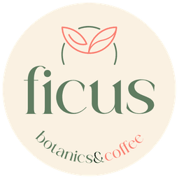 Ficus Botanics Coffee